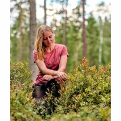 Pinewood Red Deer Kurzärmeliges T-shirt -Pinewood pinewood red deer kurzarmeliges t shirt 13